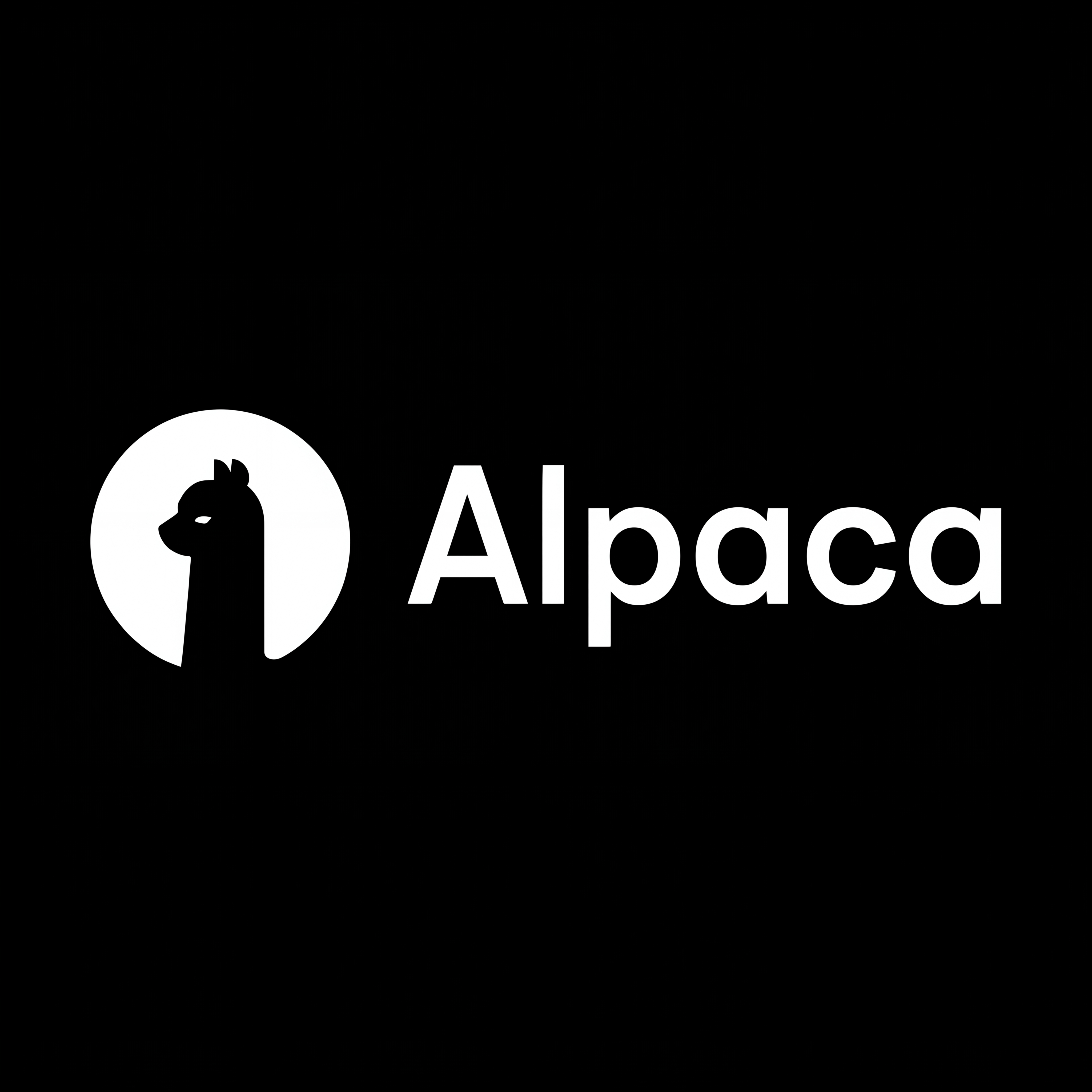 Alpaca